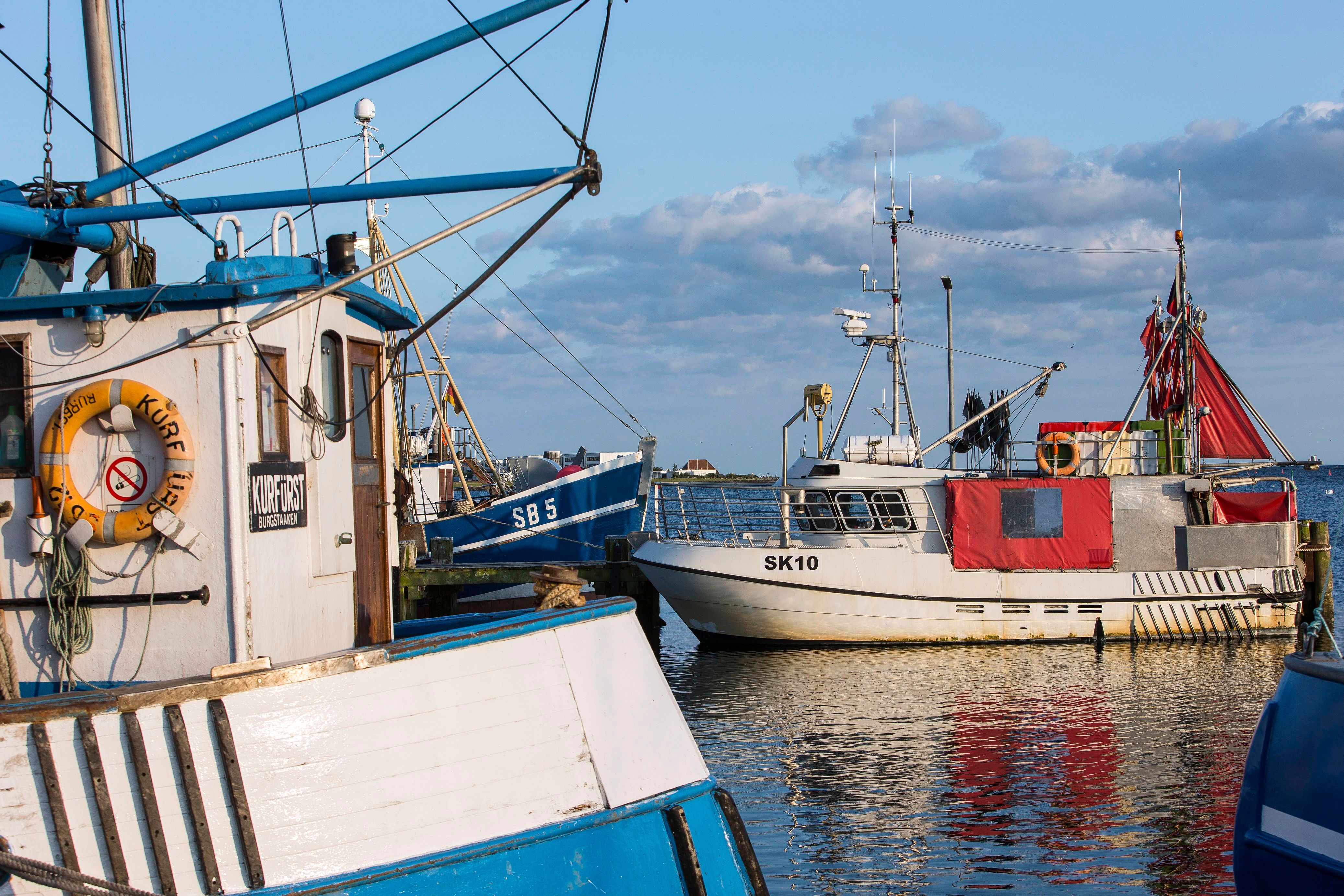 Hafen Burgstaaken auf Fehmarn