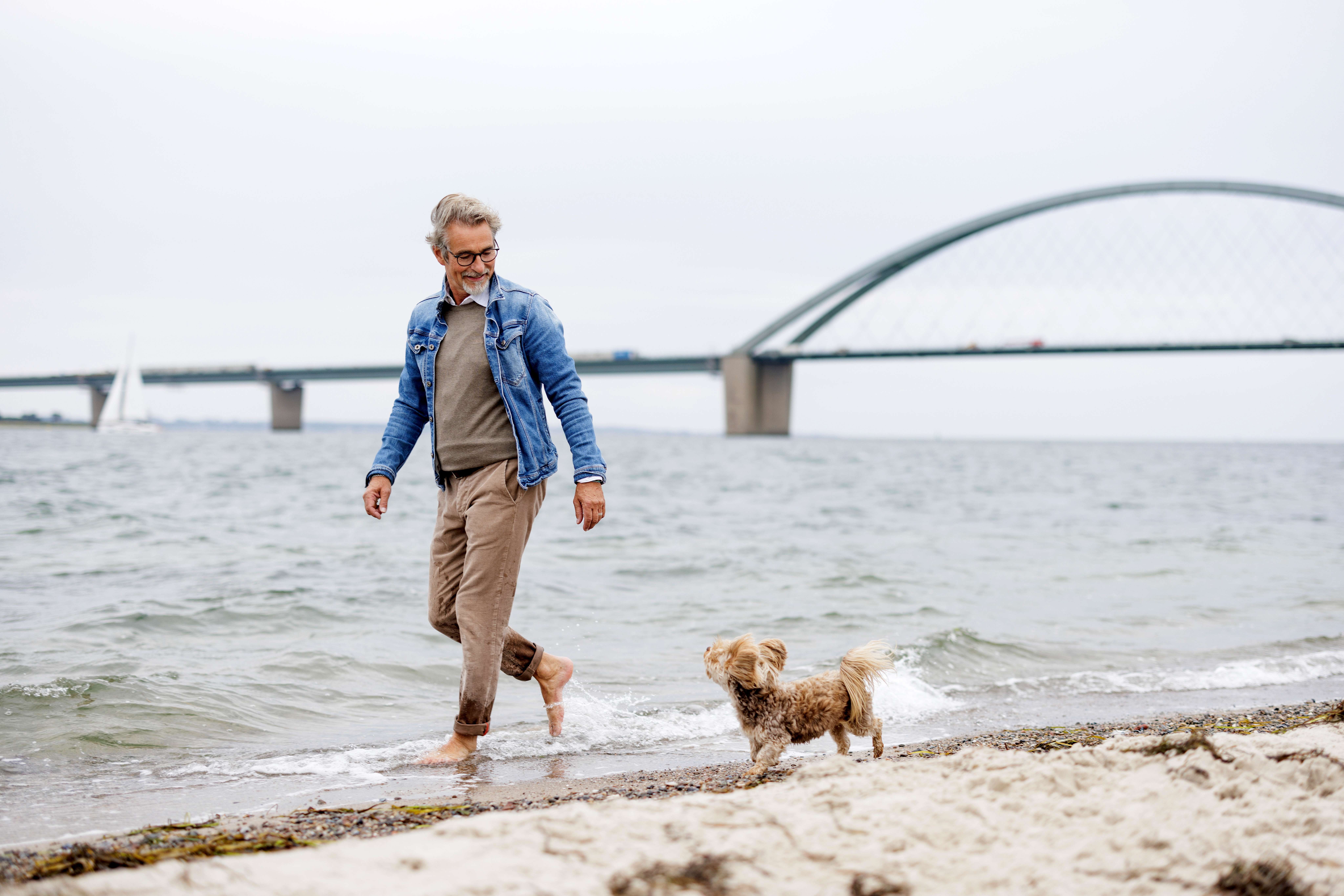 Herr mit Hund am Strand von Fehmarnsund und der Brücke im Hintegrund