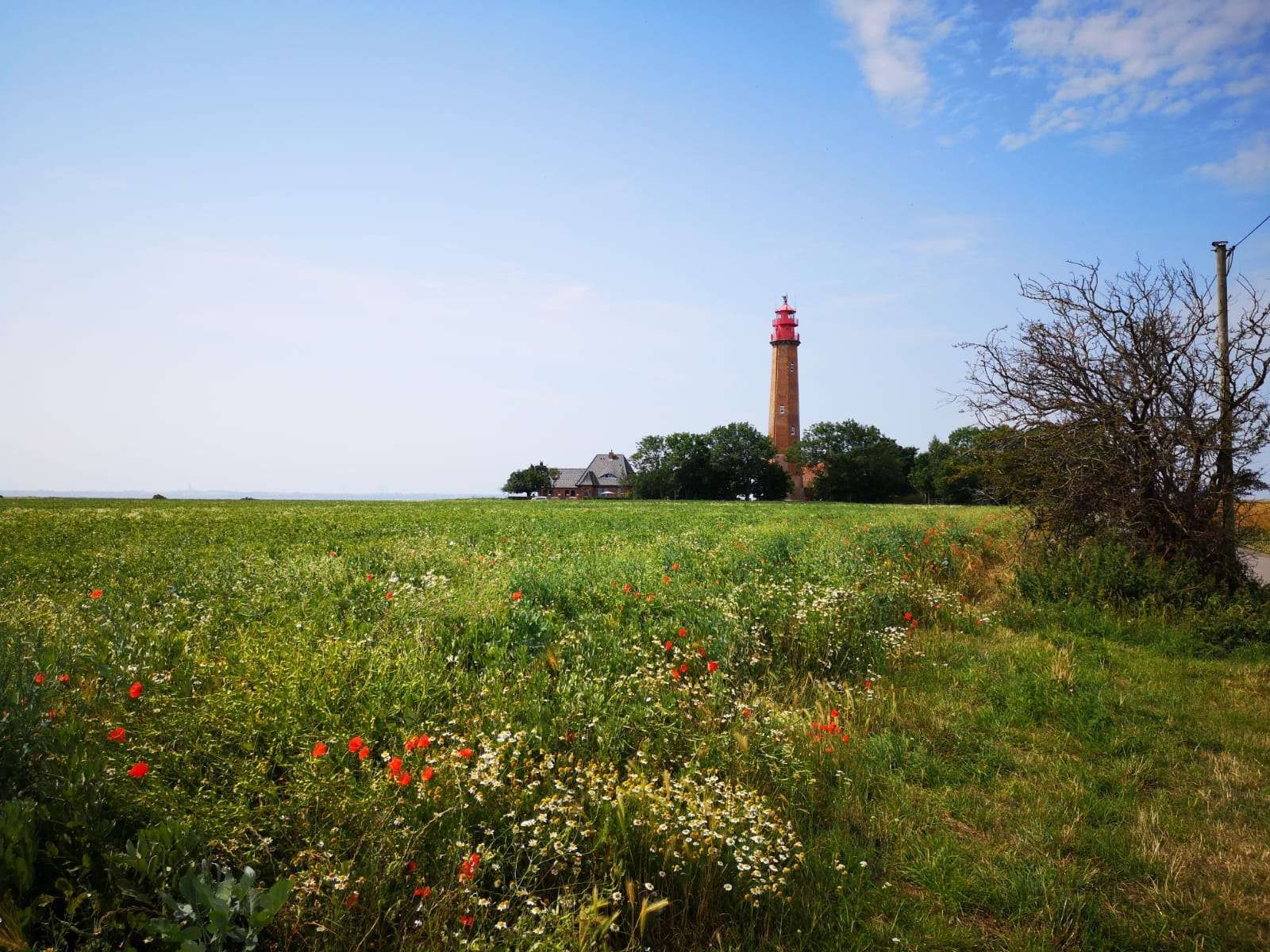 Leuchtturm Flügge auf Fehmarn