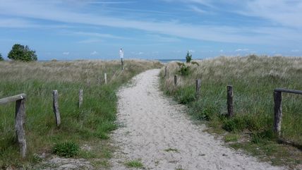 Naturschutzgebiet Grüner Brink