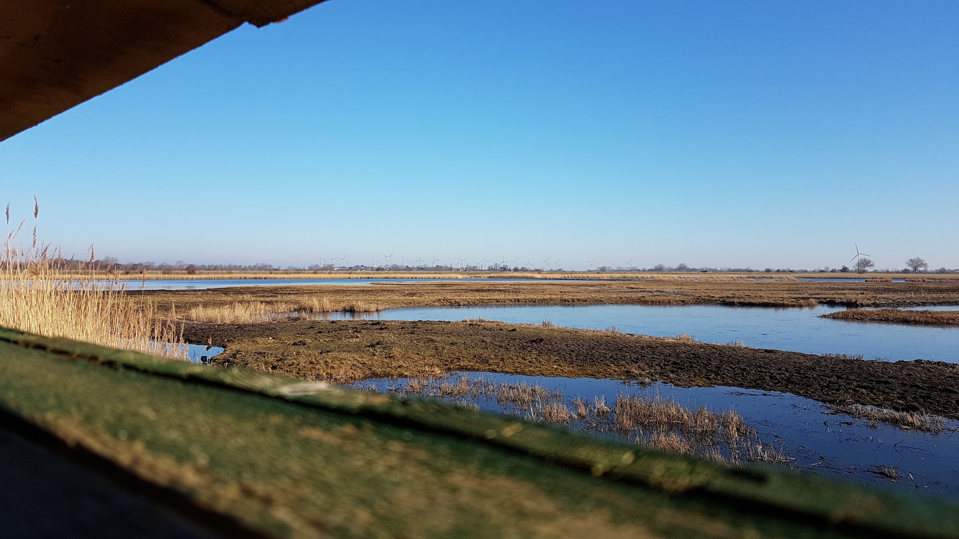 NABU Wallnau Vogelreservat
