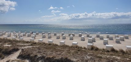 Strandkörbe am Strand