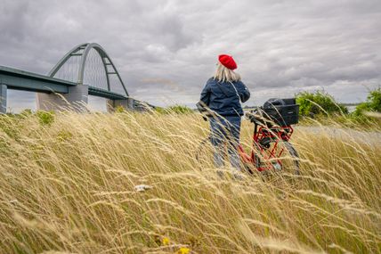 Fehmarnsundbrücke vom Feld aus