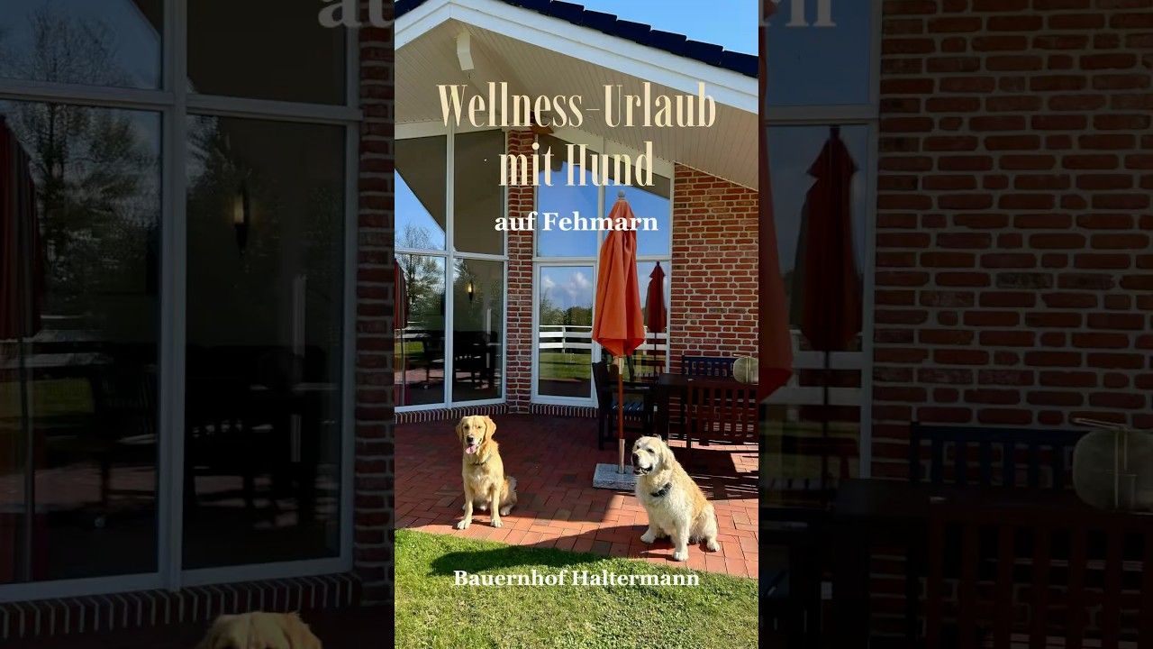 Wellness-Urlaub mit Hund(en) auf Fehmarn 🐾