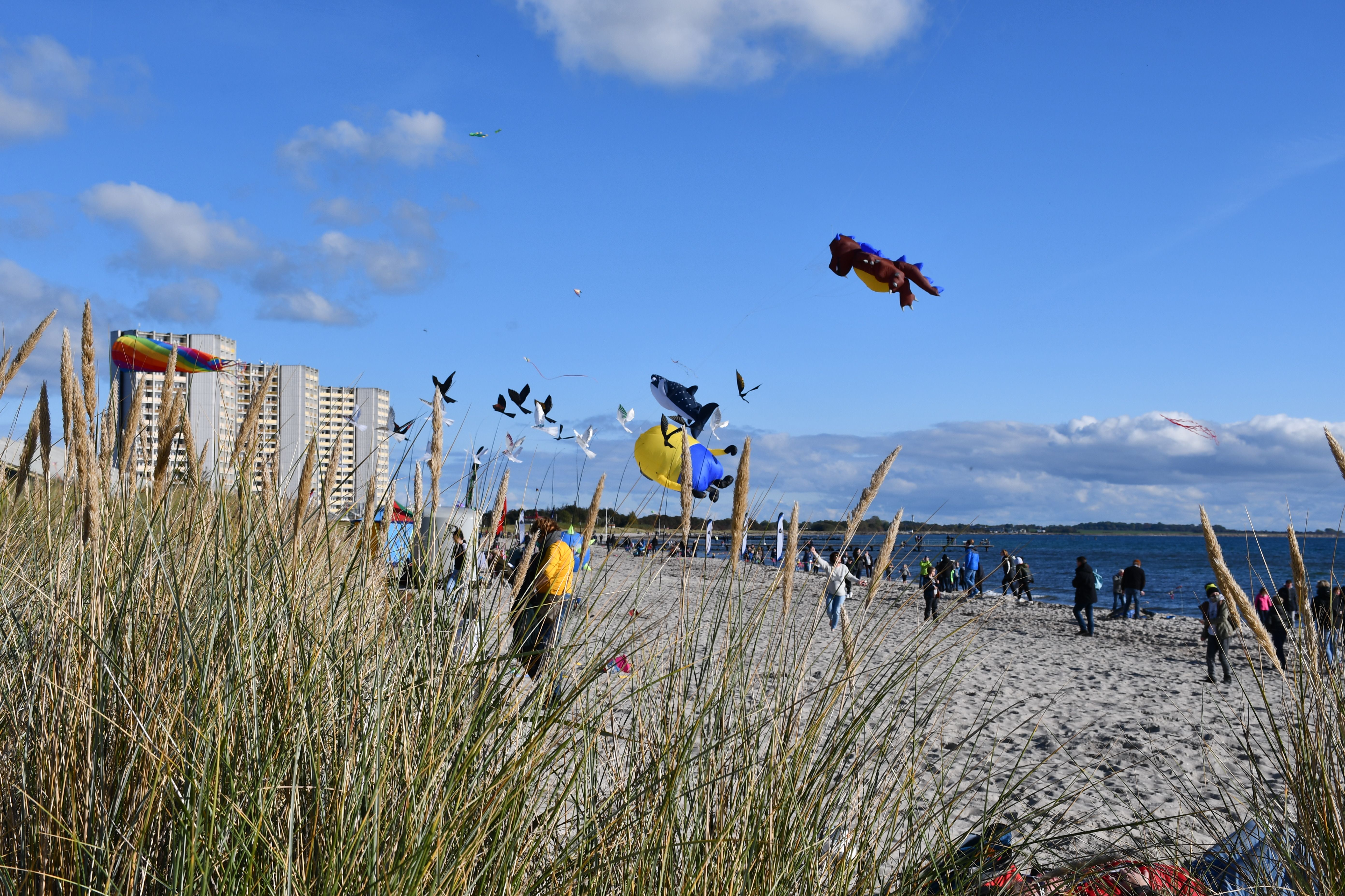 Menschen am Strand lassen bunte Drachen steigen. Im Hintergrund ein Hochhaus und blauer Himmel. Gräser im Vordergrund.