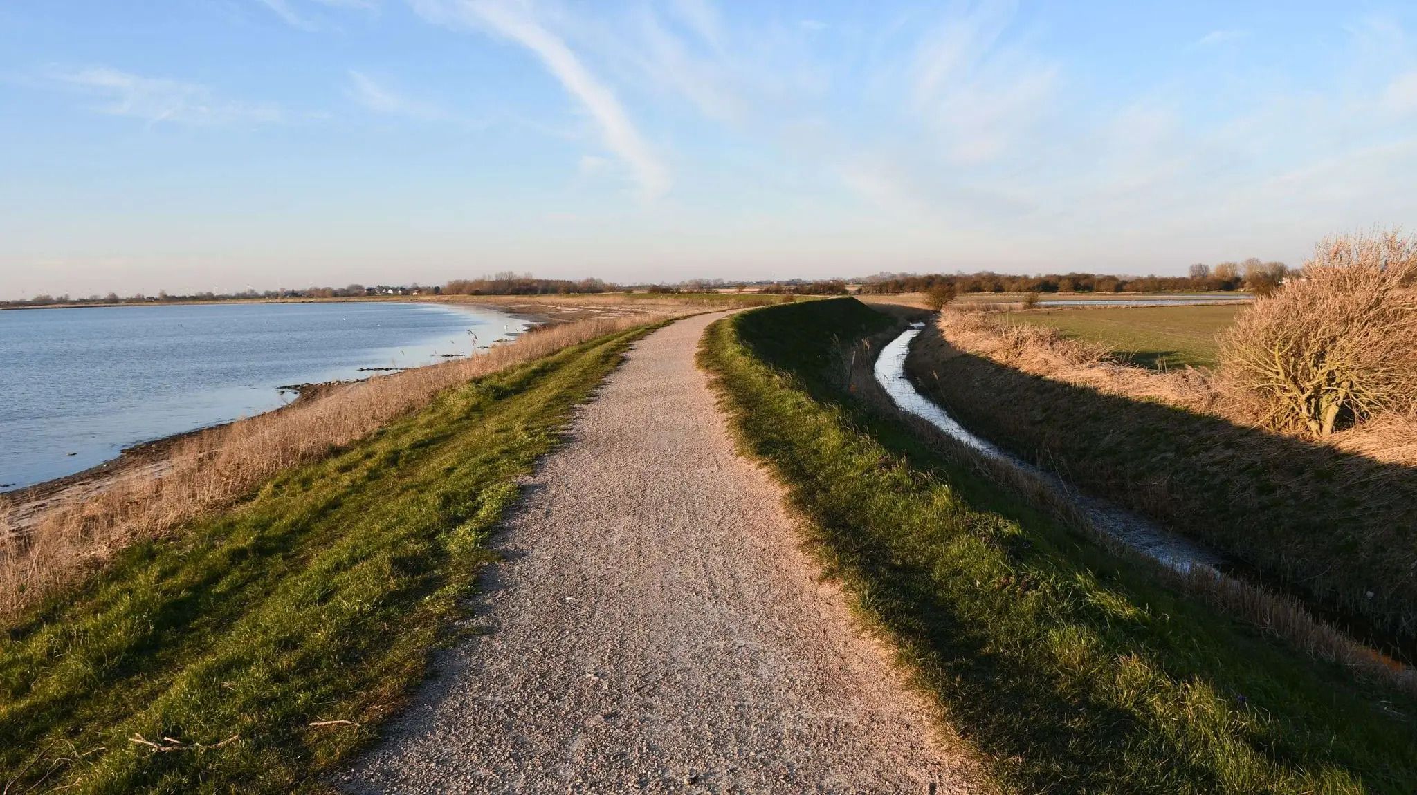 Deich in Gold auf Fehmarn