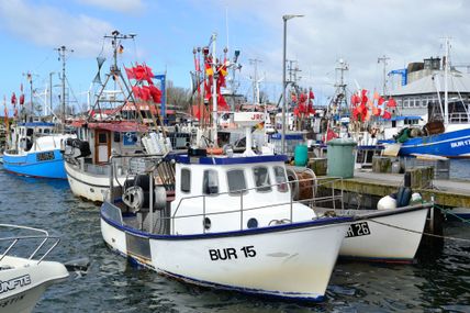 Hafen Burgstaaken auf Fehmarn
