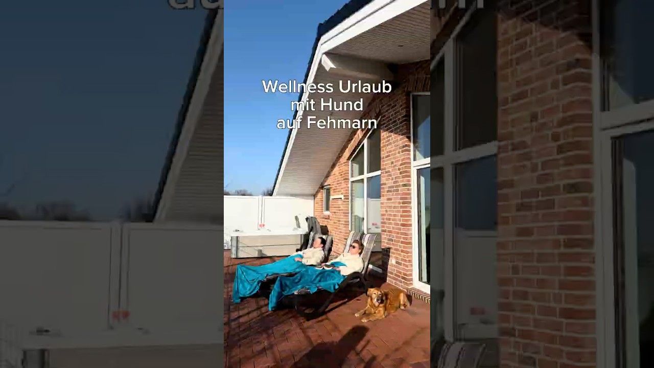 Wellness Urlaub mit Hund auf Fehmarn 🐶