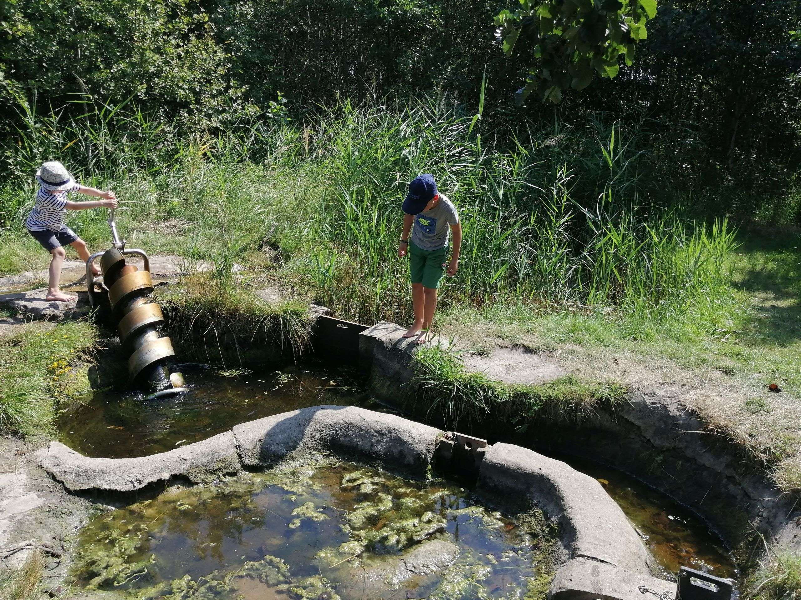 NABU Wasservogelreservat in Wallnau auf Fehmarn