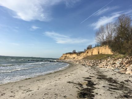 Steilküste Wulfen auf Fehmarn