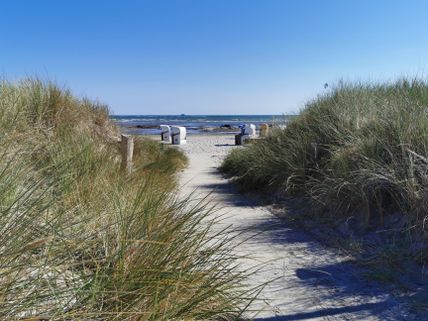 Grüner Brink Strandaufgang