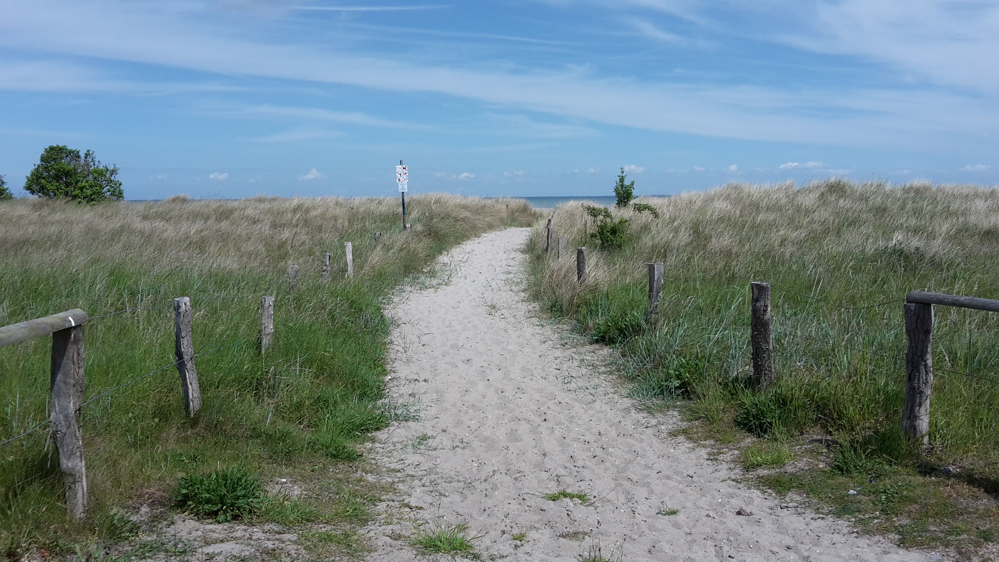 Naturschutzgebiet Grüner Brink