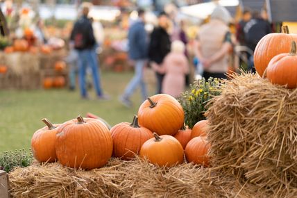 Kürbisse liegen auf Heuballen, im Hintergrund unscharf Menschen auf einem Herbstmarkt. Die Szene wirkt herbstlich und einladend.