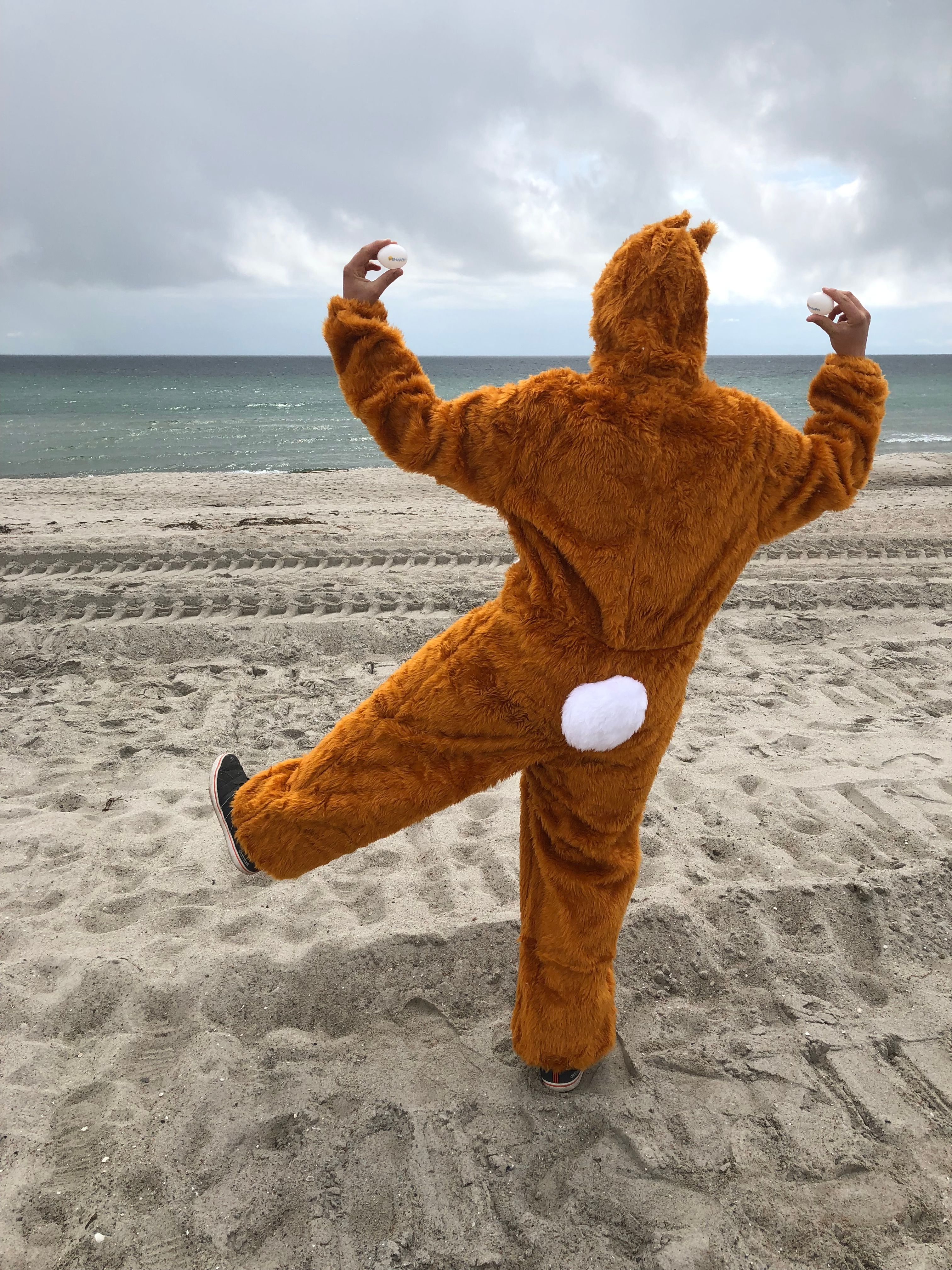 Eine Person in einem braunen Tierkostüm mit weißem Schwanz posiert am Strand und hält zwei weiße Eier in den Händen. Der Himmel ist bewölkt.